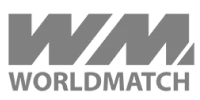 इभोलुसन गेमिङ logo
